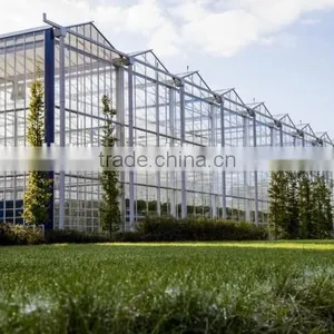 Baolida Hot Dip Galvanized Framework Polythene Greenhouse Greenhouse for Vegetables and Plant thumbnail-1