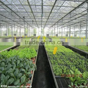 Greenhouse PE Vegetable Sun Plastic Shade Net thumbnail-1