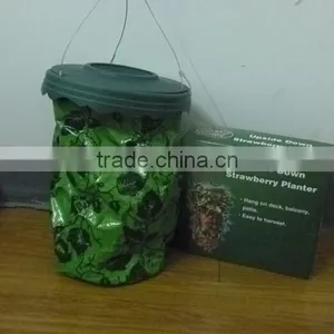 Tomato Planter Tomato Planting Topsy Gardening Tips thumbnail-1