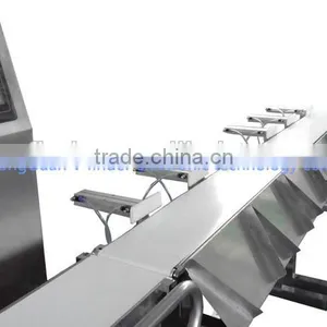 Conveyor Belt Check Weigher.check Weigher Conveyor System thumbnail-1