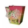 250gsm Coated Paper Die Cutting, Matte, Glossy Varnish Coloured Paper Bags With Handles thumbnail-1