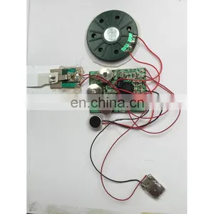 Recordable Sound Talking Cheap Artificial Flower Wholesale Gift Items thumbnail-1