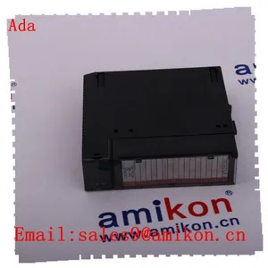 GE Fanuc Automation Plc Components IS200SRLYH2A IS200SRLYH2AAA thumbnail-1