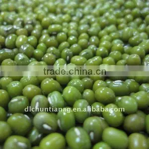 2011 Green Mung Bean (organic ) thumbnail-1
