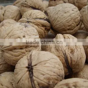 New Crop Organic Walnut Inshell/ Walnut With Shell thumbnail-1