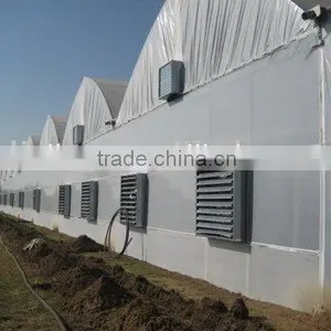 Double Layer Inflated Poly Film Greenhouses thumbnail-1