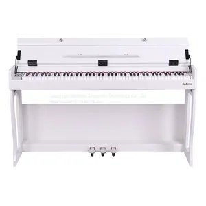OEM Digital Electric Piano for Kids Professionals Electronic Organ Piano Keyboard thumbnail-2