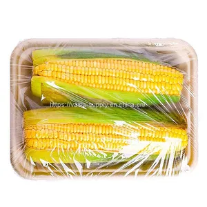 Customized Logo Rectangle Fruit Tray Vegetable Dishes Bagasse Sugarcane Molded Fiber Meat Tray thumbnail-2