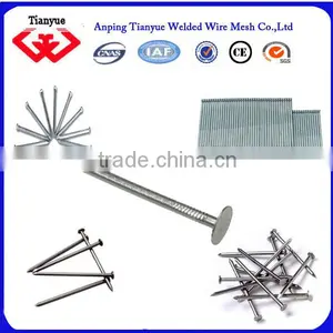 Building Common Nail Making Machine for Kenya thumbnail-6