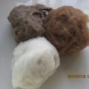 Raw Sheep Wool Natural 100% Sheep Wool  Greasy Sheep Wool thumbnail-3