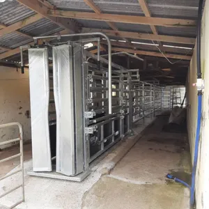 Heavy-Duty Automatic Galvanized Steel Metal Cattle Crush Livestock Cow Squeeze Chute Farm Equipment With Scales Fence & Trellis thumbnail-3