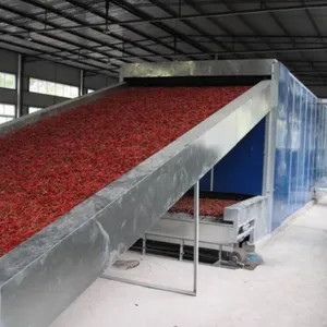 Dehydrated Fruit Vegetable Dried Strawberry Processing Line thumbnail-6
