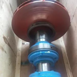 300S-58 Rotor Assembly Stable Operation Rotor Assembly Shanghai Liancheng Double Suction Pump thumbnail-2