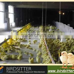 2015 Hot Sale Philippines Poultry Feeding Line thumbnail-2