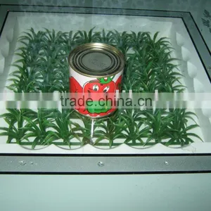 Tomato Paste thumbnail-1