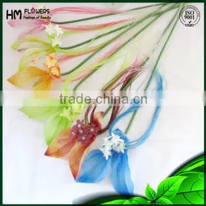 Ornamental Plants Lucy Cat thumbnail-6