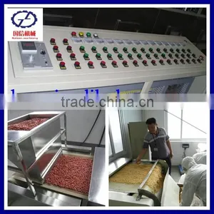 Fruit Dryer Machine thumbnail-1