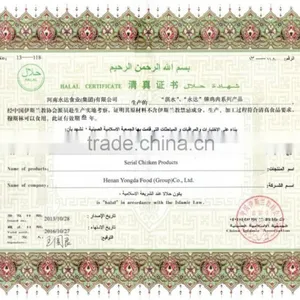 Frozen HALAL Chicken Gizzards thumbnail-4