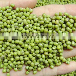 Mung Beans, Green thumbnail-1