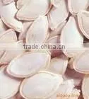 Top Quality Pumpkin Seeds thumbnail-1