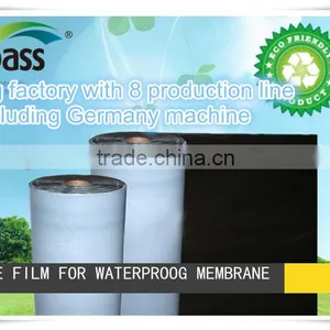 Release Film thumbnail-1