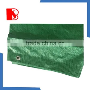 pe Tarpaulin Agricultural Greenhouse Reinforced Plastic is Ready Selling thumbnail-5