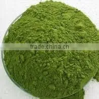 MORINGA OIL LIVER HEALTH thumbnail-6