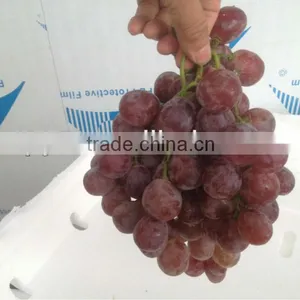 Quality Red Grapes thumbnail-1