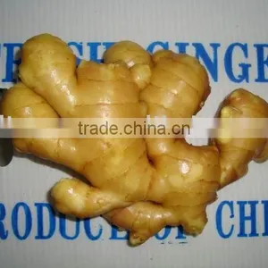 10 kg /carton &PURE Block Fresh Fat Ginger thumbnail-1