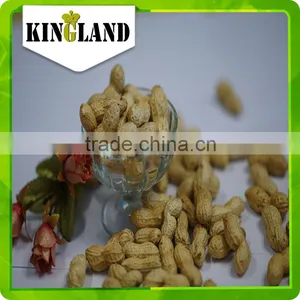 Peanut in Shell Processing thumbnail-6