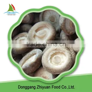 Frozen Shiitake Mushroom IQF Shiitake Mushrooms thumbnail-1