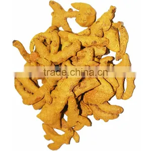 Indian Turmeric Exporters thumbnail-1