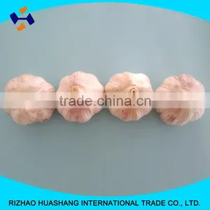 Good Quality Normal White Fresh Garlic Size4.5cm thumbnail-5