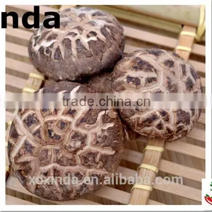 2015 Best Export Quality Shiitake Mushroom ,Tea Flower Mushroom Free Sample thumbnail-1