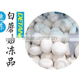 Frozen Delicate Champignon Mushroom/white Button Mushroom thumbnail-1