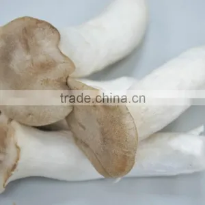 Edible Mushrooms/ Pleurotus Eryngii /King Oyster Mushroom/Eryngii/King Trumpet Mushroom thumbnail-1