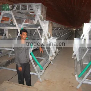 9WCD-3198 A-type Hot Galvanized Pullet Chicken Rearing Cage thumbnail-1