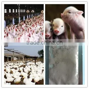 Provent Mould in Feed / Super-strong Adsorption Capacity thumbnail-1