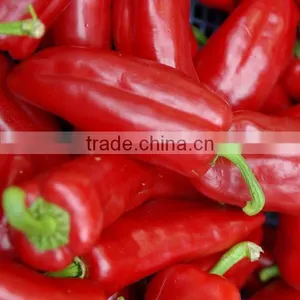 CE Best Selling Commercial Fruit and Vegetable Grinding Machine thumbnail-5