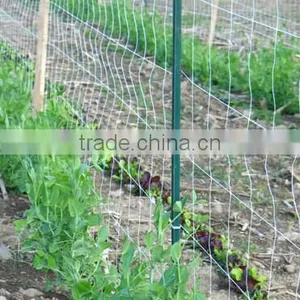 Aquaculture, Poultry Farming, Sericulture, and Civil Engineering KNITTED PLASTIC NETTING thumbnail-1