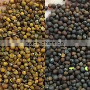 Agricultural Machines Advanced Optical Sorting Cabbage Seeds CCD Color Sorter thumbnail-2