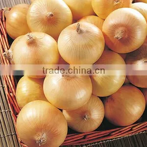Onion Peeler Peeling Mahcine Skin Remover Striper Processing Machine thumbnail-4