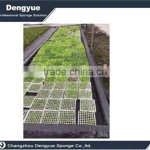 Agricultural Polyurethane High Densuty Seeds Grow Sponge Germination Foam thumbnail-1