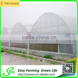Economical Plastic Green House for Agriculture thumbnail-5