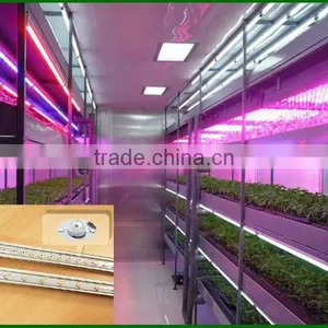 Hot Seller 20w Cheap Indoor Led Grow Lights That Work thumbnail-5