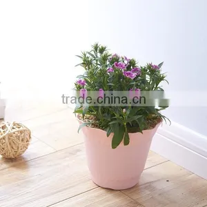 Fashional Design Lotus Shaped Plastic Plant Flower Pot Which Has 6 Kinds of Colors thumbnail-1