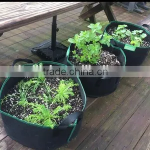 15gallon Grow Bag Fabric Planter Raised Bed thumbnail-1