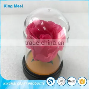 Transparent Clear Acrylic Flowers Box World Globe Dome thumbnail-2