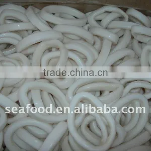 Frozen Squid Ring Todarodes Pacificus thumbnail-1