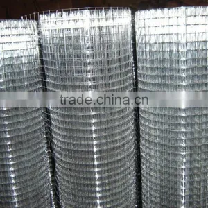China Supplier Galvanized Wlded Wire Mesh thumbnail-2